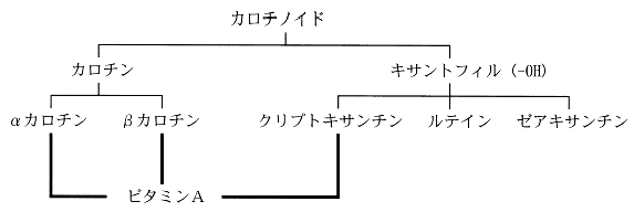 }P@Ɋ܂܂J`mCh